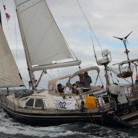 5_Longimanus_Aleta