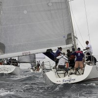 foto archivo uso zuria_ganador_ y symphony