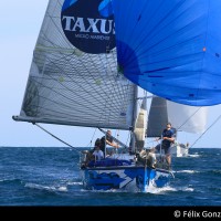 1 Taxus MedioAmbiente T Otoño