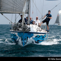 1 Taxus MedioAmbiente 20190701